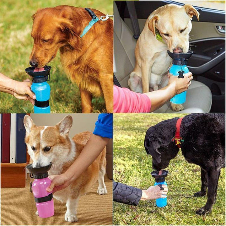 Bebedero para tu Mascota 🐾💧