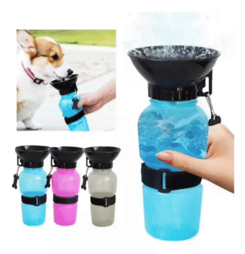 Bebedero para tu Mascota 🐾💧