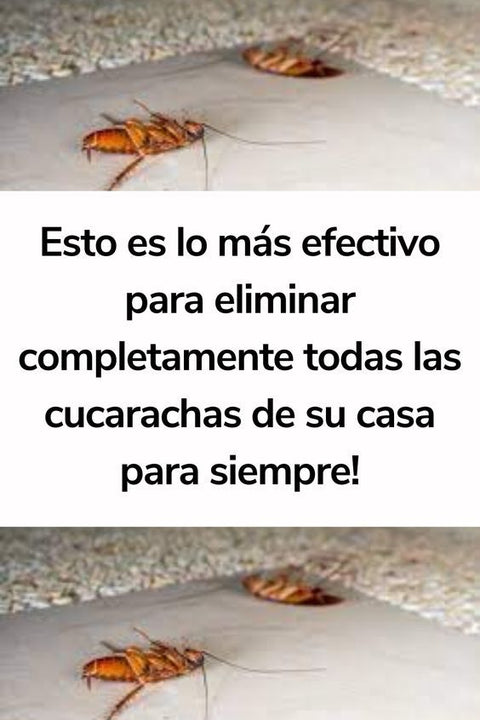 Chak Gel Exterminador de Cucarachas