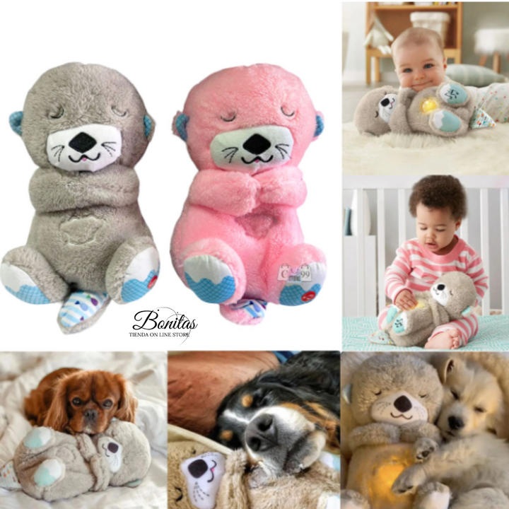 PELUCHE NUTRIA CON RESPIRACION RELAJANTE 🌙🐻