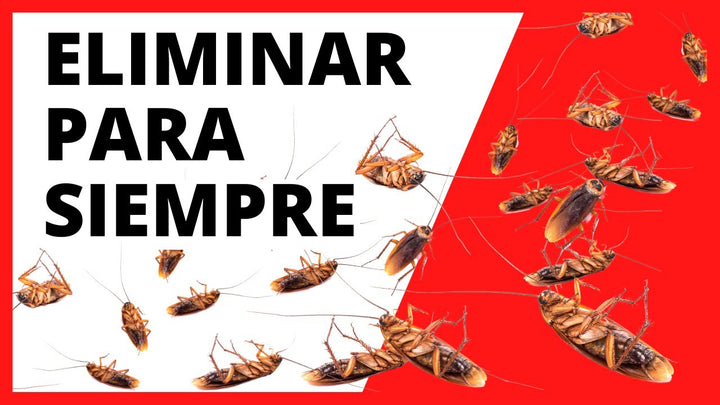 Chak Gel Exterminador de Cucarachas